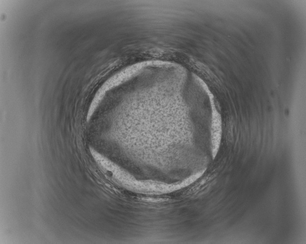 X0000081471105200701261956