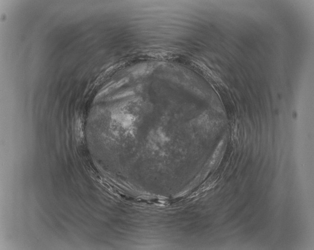 X0000081471106200701261956