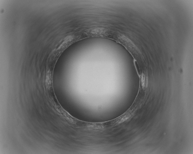 X0000081471107200701261956