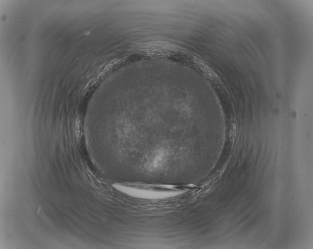 X0000081471108200701261956