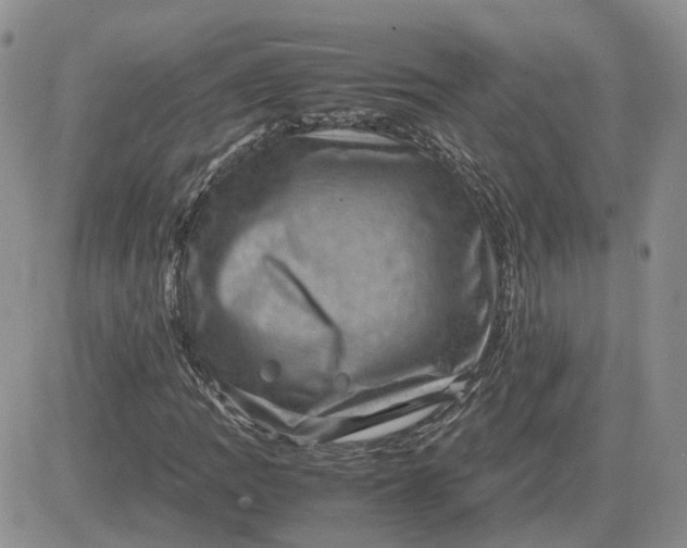 X0000081471109200701261956