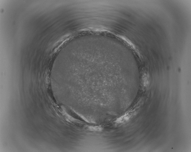 X0000081471110200701261956