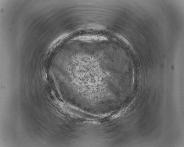 X0000081471112200701261956