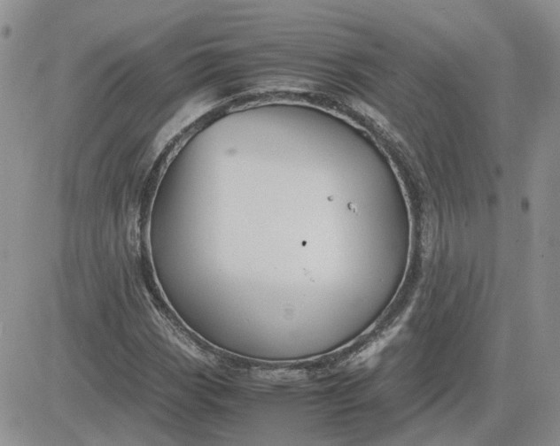 X0000081471113200701261956