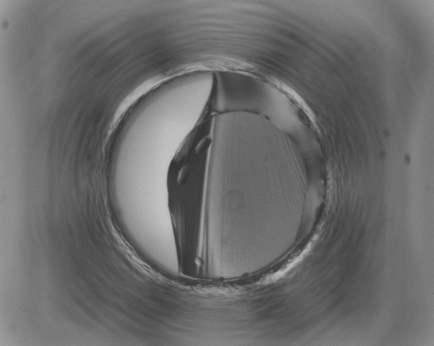 X0000081471114200701261956