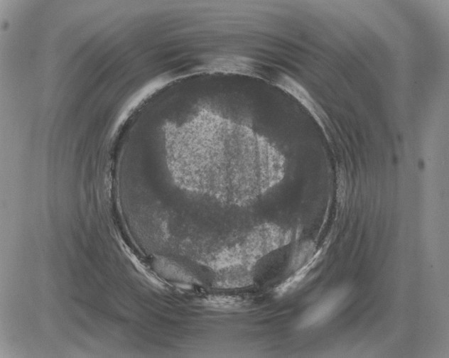 X0000081471115200701261956