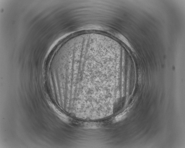 X0000081471116200701261956