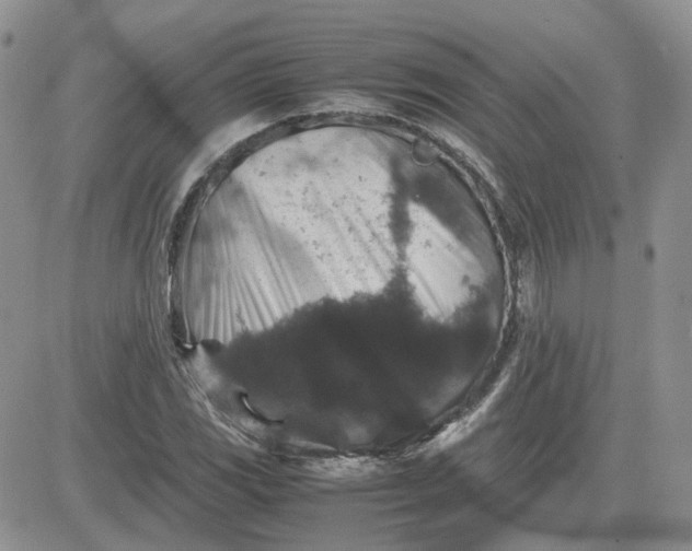 X0000081471117200701261956