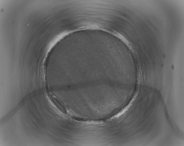 X0000081471118200701261956