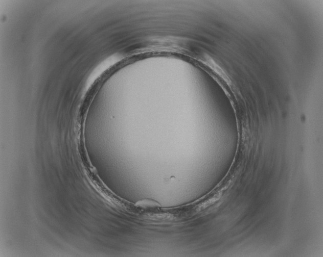 X0000081471119200701261956