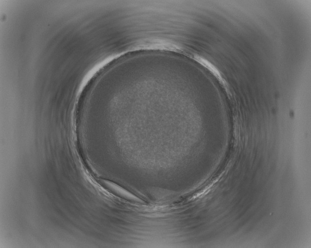 X0000081471120200701261956