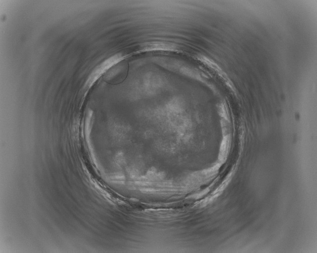 X0000081471121200701261956