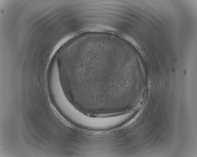 X0000081471122200701261956