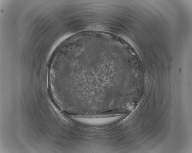 X0000081471123200701261956