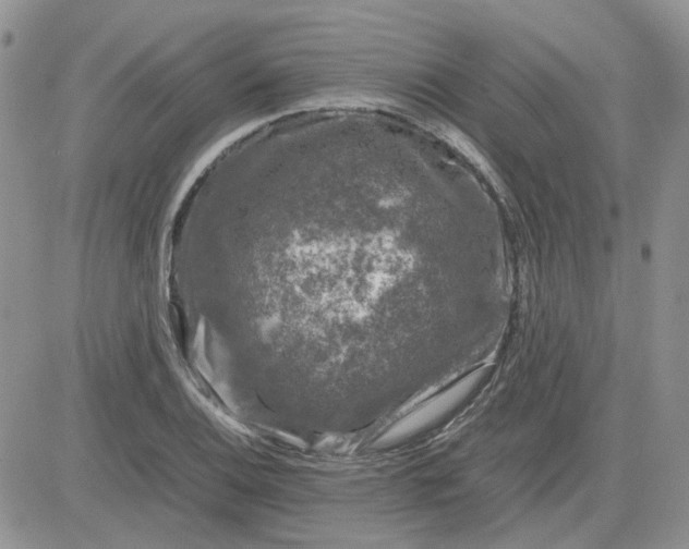 X0000081471124200701261956