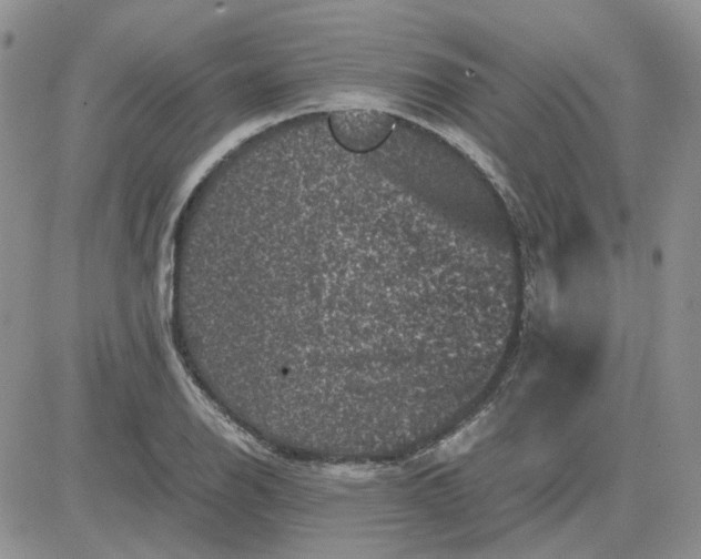 X0000081471126200701261956