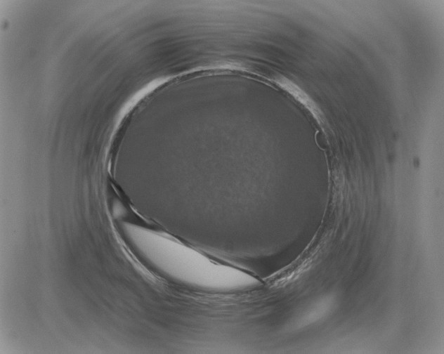 X0000081471127200701261956