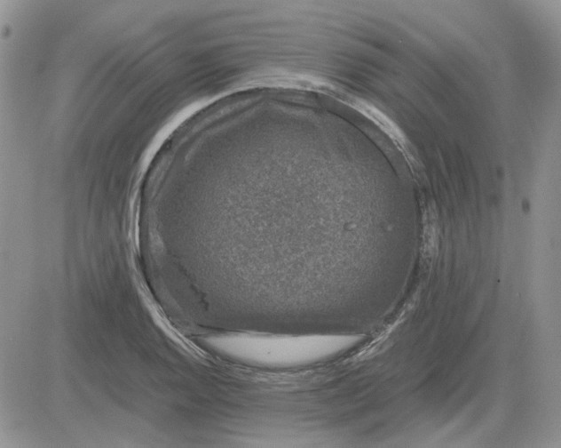 X0000081471128200701261956