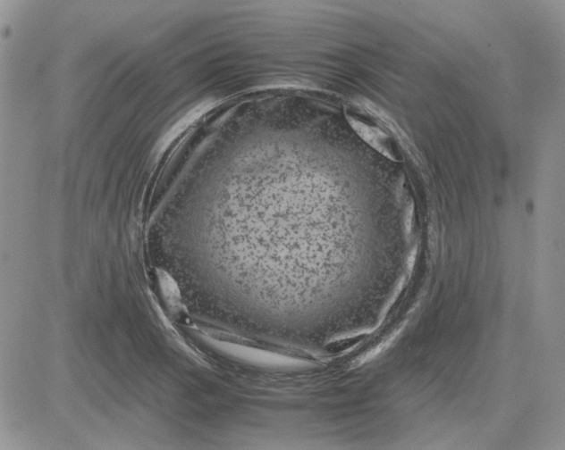 X0000081471129200701261956