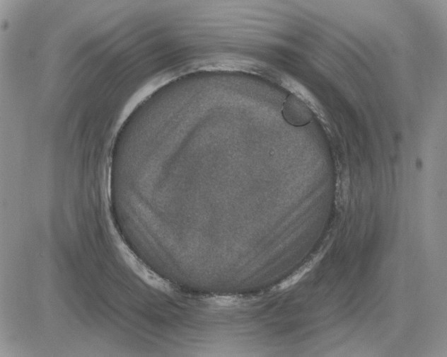 X0000081471130200701261956