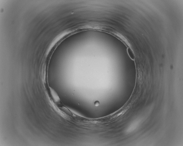 X0000081471131200701261956