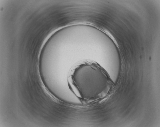 X0000081471132200701261956