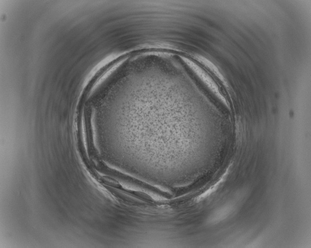 X0000081471133200701261956