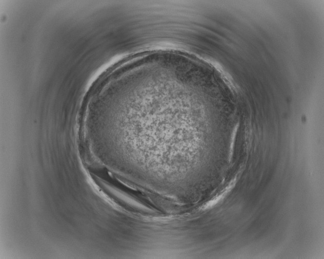 X0000081471134200701261956