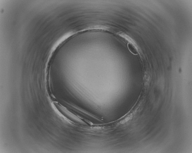 X0000081471135200701261956