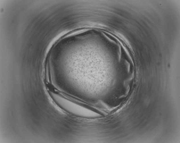 X0000081471136200701261956