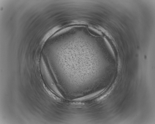 X0000081471137200701261956