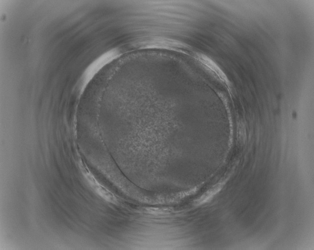 X0000081471138200701261956