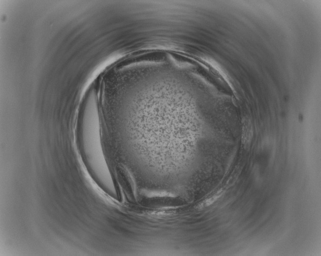 X0000081471139200701261956