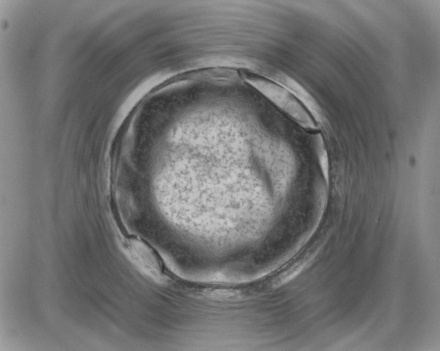 X0000081471140200701261956