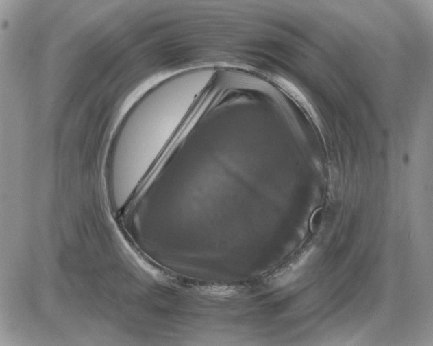 X0000081471141200701261956