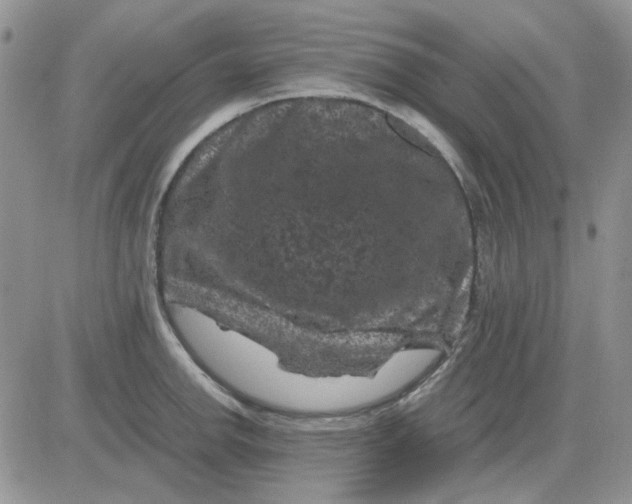 X0000081471142200701261956