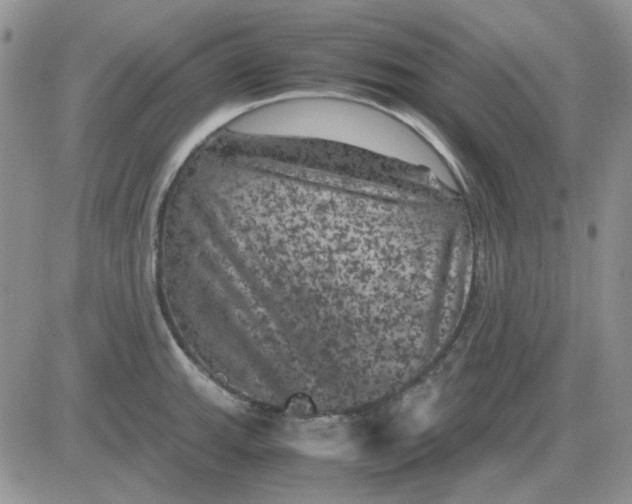 X0000081471143200701261956