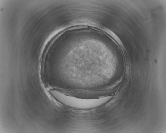 X0000081471144200701261956