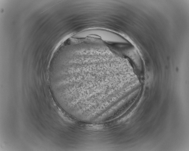 X0000081471145200701261956