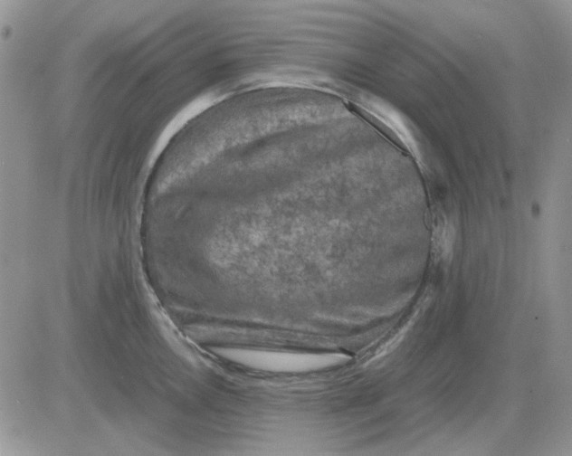 X0000081471146200701261956