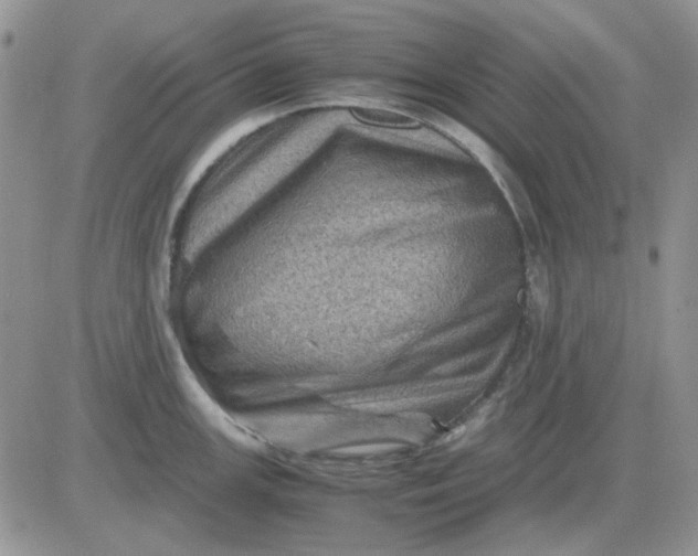 X0000081471147200701261956