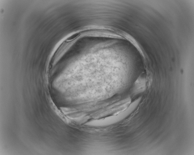 X0000081471148200701261956