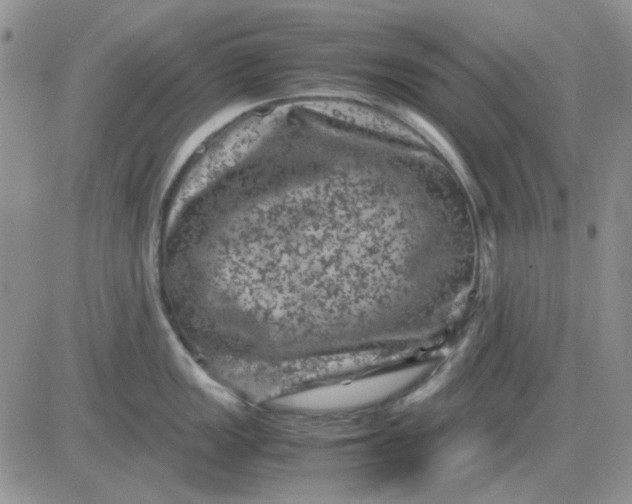 X0000081471149200701261956