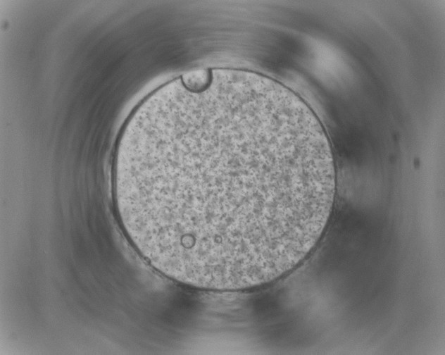 X0000081471150200701261956