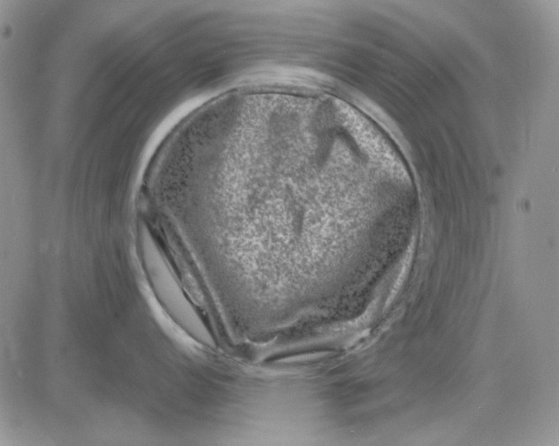 X0000081471152200701261956