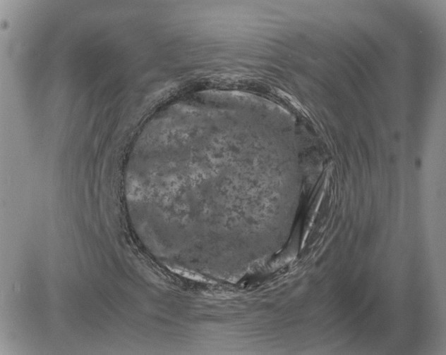 X0000081471153200701261956