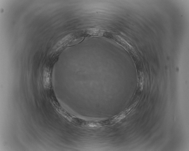 X0000081471154200701261956