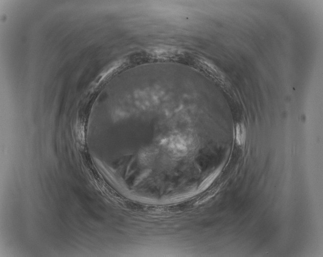 X0000081471155200701261956