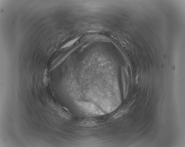 X0000081471156200701261956