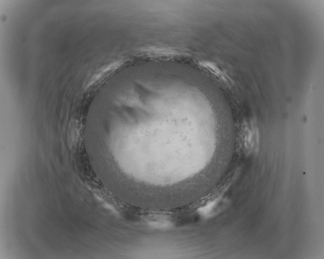 X0000081471157200701261956